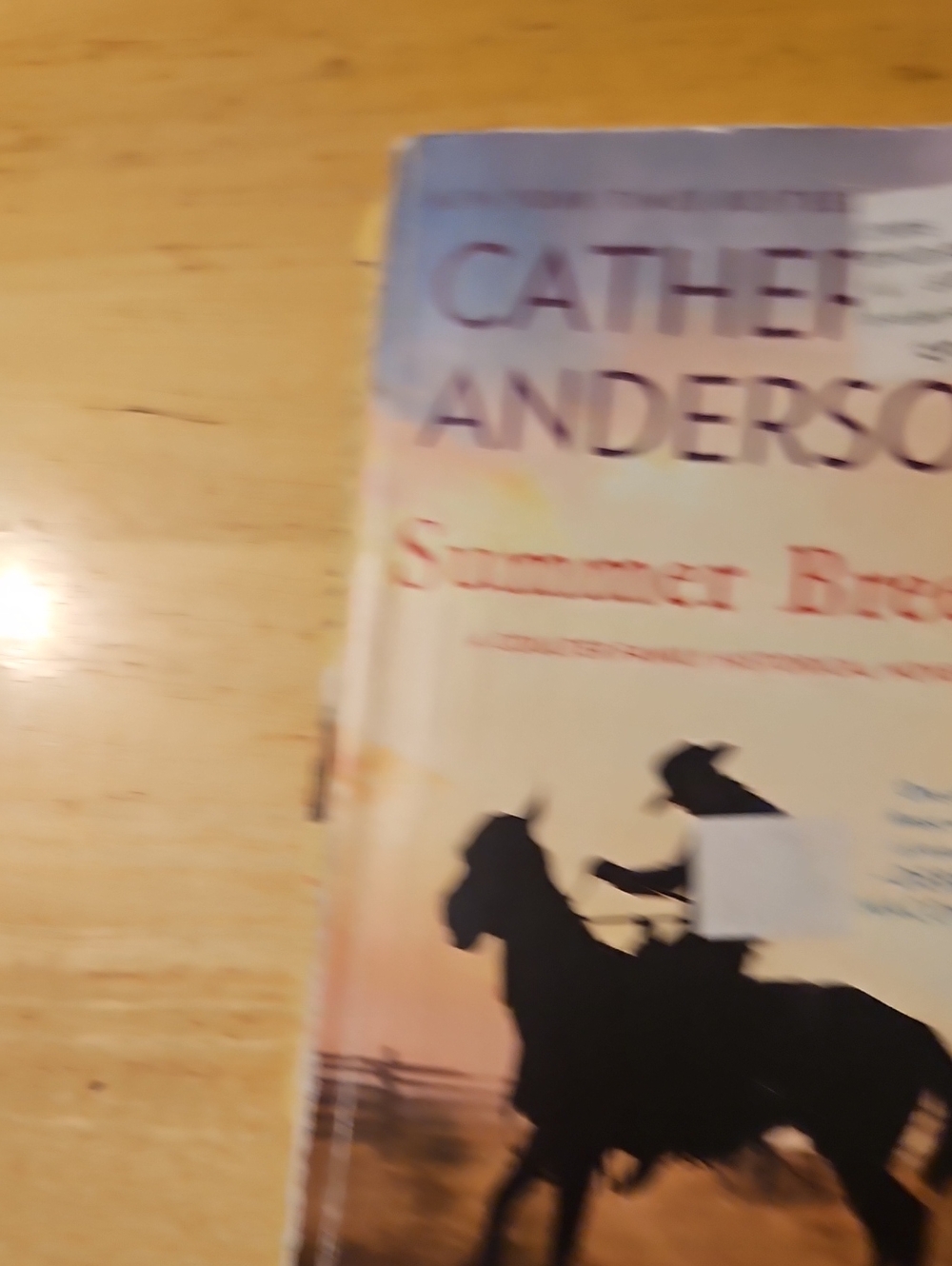 Summer Breeze by Catherine Anderson Paperback Book